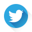 Twitter Logo